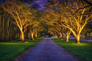 Photo of Listing #F10519090