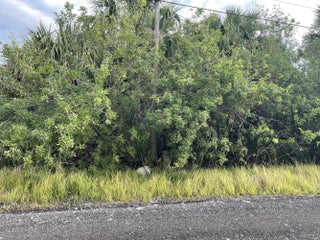 Photo of Listing #R11072490