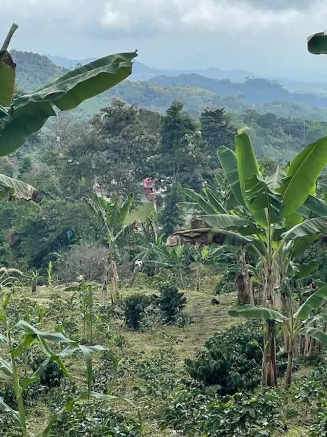 Colombia El Hatillo, Mariquita, Tol, Co, 