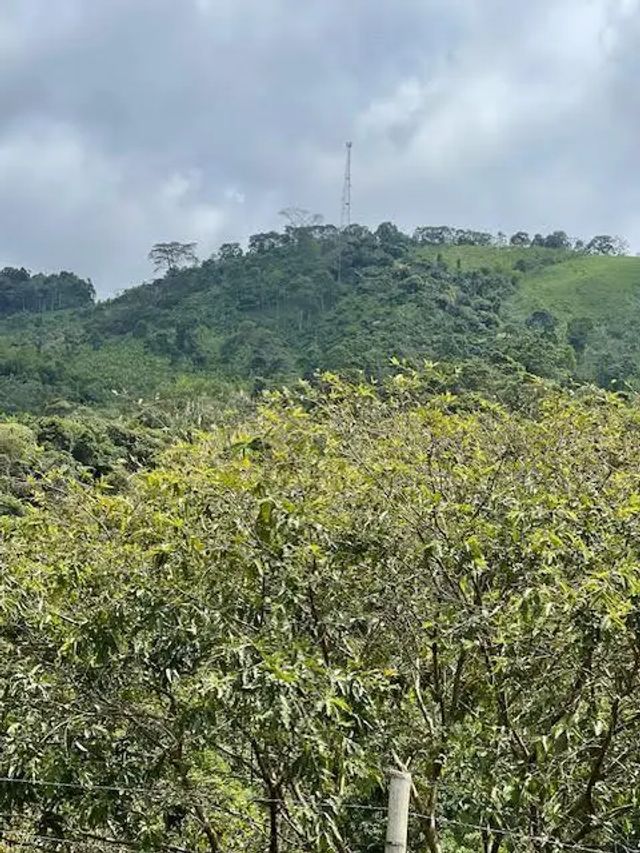 2 of 24 - Colombia El Hatillo, Mariquita, Tol, Co, , 