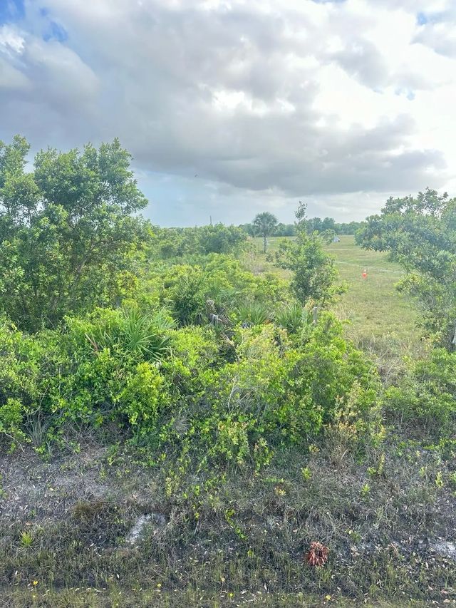 16220 Nw 264th  Street, Okeechobee