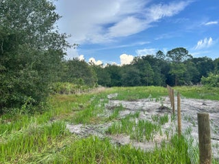 Photo of Listing #F10519316