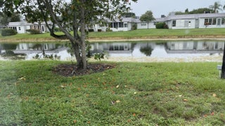 Photo of Listing #R11113933