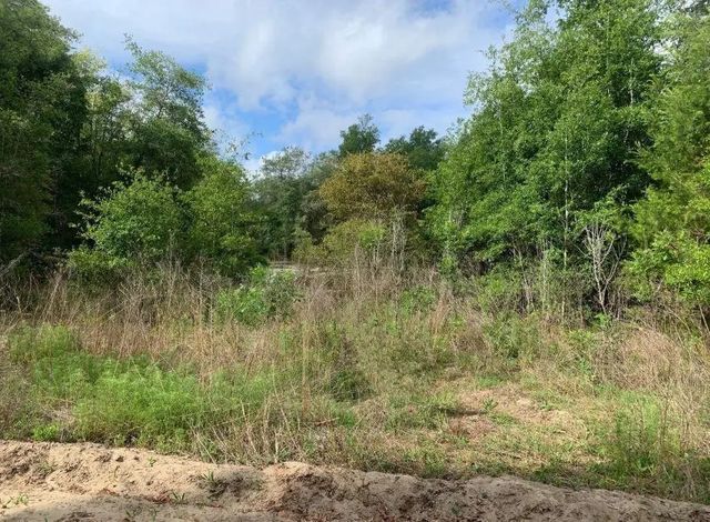 0 Douglas Drive, Interlachen