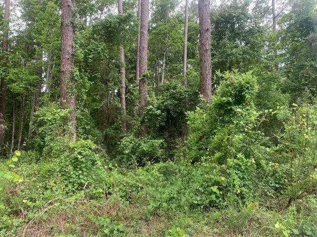 121 Coot Drive, Satsuma