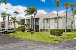 Photo of Listing #R11115541