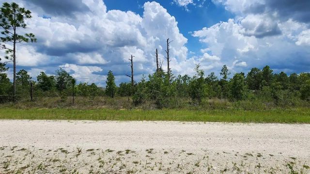 - Scissorbill Avenue, Brooksville