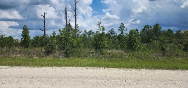 2 of 2 - - Scissorbill Avenue, Brooksville, FL