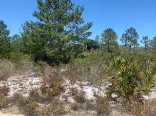 Photo of Listing #F10520704