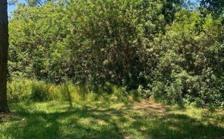 Photo of Listing #F10520712