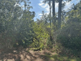 Photo of Listing #F10520729