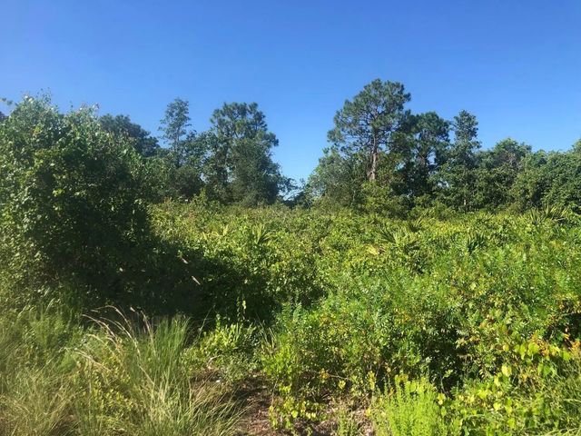 153 Disney Boulevard, Avon Park