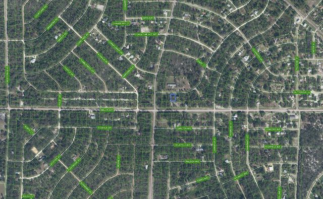 3 of 4 - 805 Gardenia Street, Lake Placid, FL