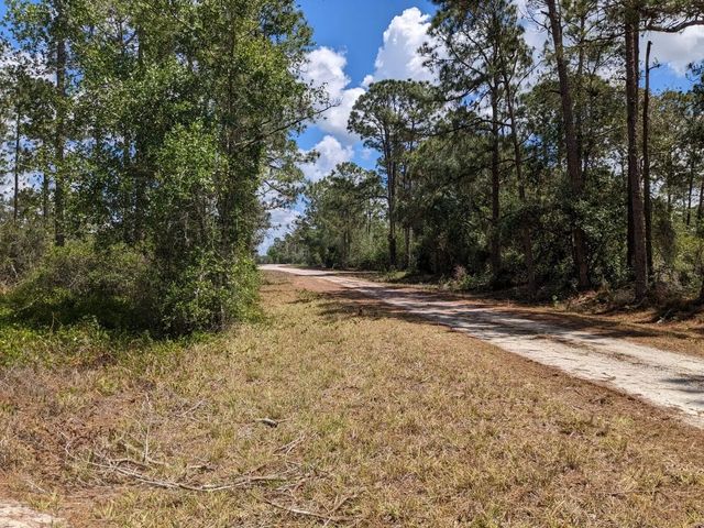 2 of 4 - 430 Apple Blossom Avenue, Lake Placid, FL