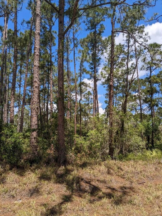 3 of 4 - 430 Apple Blossom Avenue, Lake Placid, FL