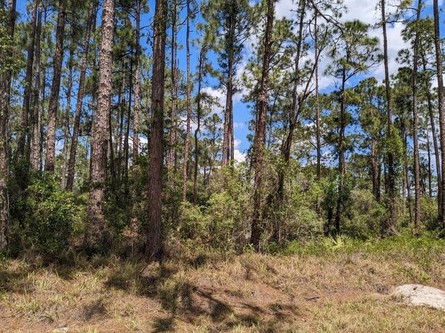 4 of 4 - 430 Apple Blossom Avenue, Lake Placid, FL