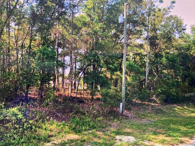 4 of 6 - 684 W Pitler Place, Citrus Springs, FL