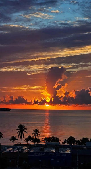 Photo of Listing #F10483481