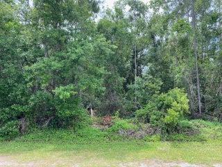 Photo of Listing #F10492669