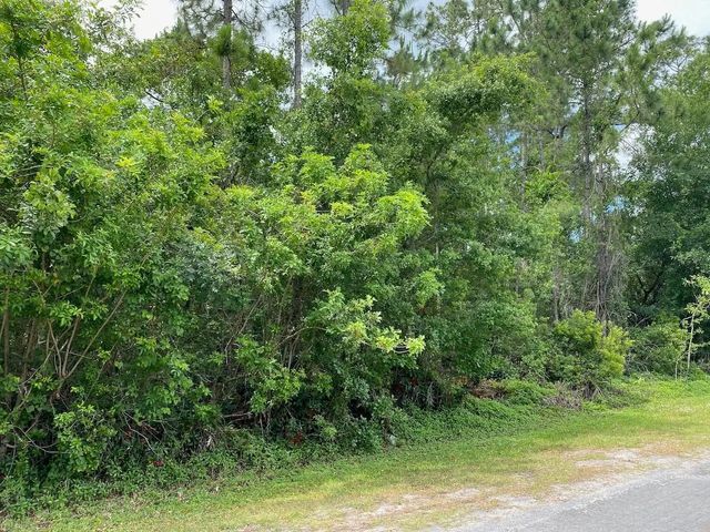 2 of 5 - 2351 Allamanda Drive, Indian Lake Estates, FL