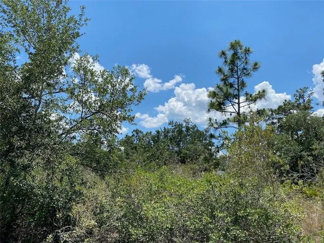 Lot 24 Indian Lake Drive, Indian Lake Estates