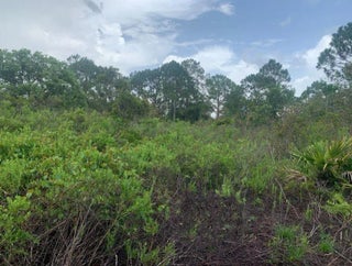 Photo of Listing #F10521015