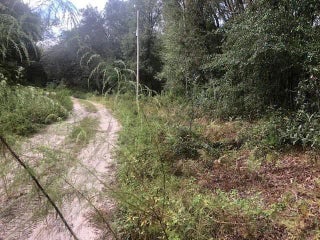 Photo of Listing #F10521056