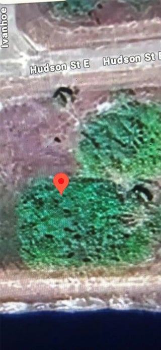 Photo of Listing #F10521184