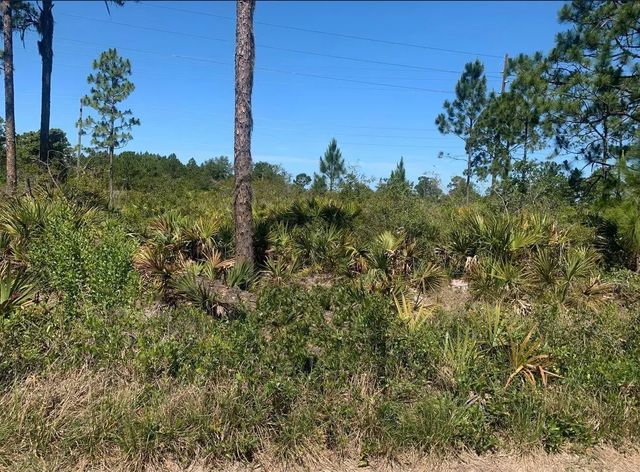 329 Phesant Boulevard, Sebring