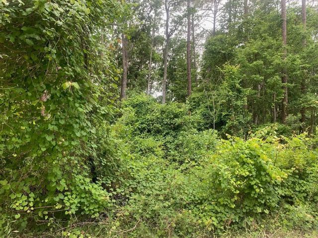 123 Coot Road, Satsuma