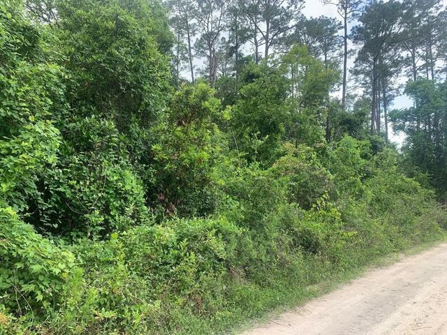 0 Coot Drive, Satsuma