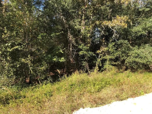 0 Evans Avenue, Interlachen