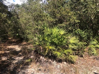 Photo of Listing #F10521219