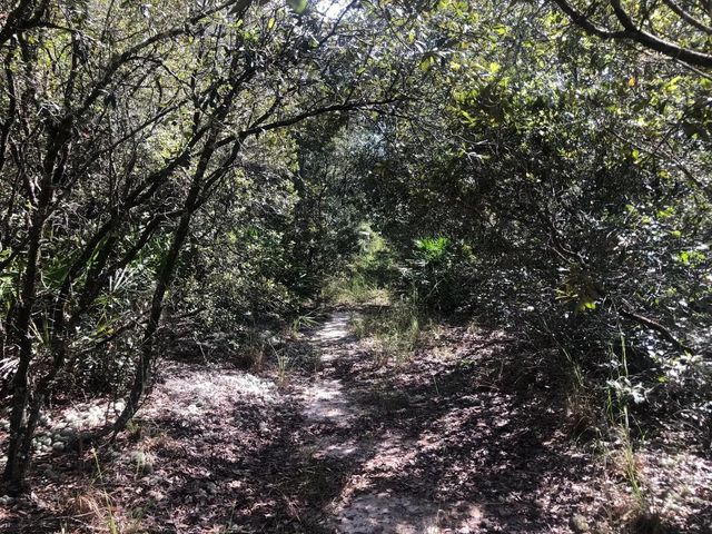 2 of 3 - 0 Oregon Street, Interlachen, FL