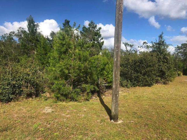 2 of 3 - 204 Usina Avenue, Interlachen, FL