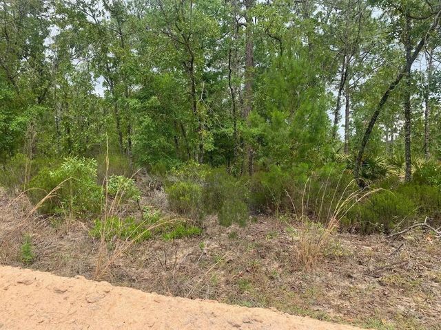 0 Miami Street, Interlachen