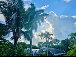 Photo of Listing #F10521179