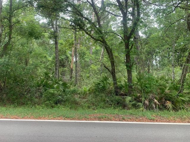 0 Theresa Avenue, Interlachen