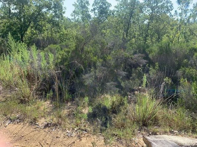 0 Manatee Street, Interlachen