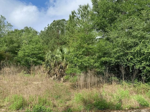 0 Douglas Drive, Interlachen