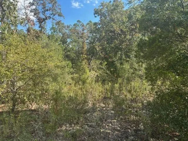2 of 3 - 0 Nezperce Drive, Alford, FL