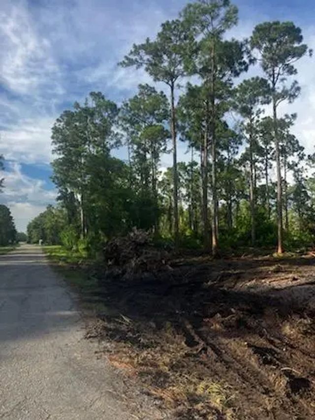 5 of 7 - 2018 Canton Avenue, Alva, FL