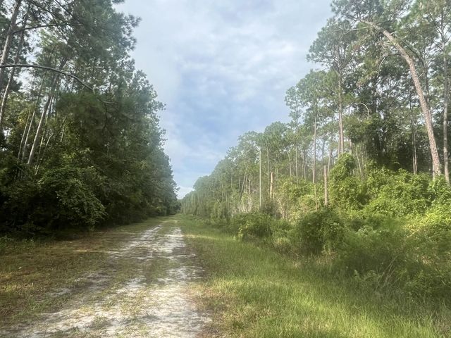 4 of 7 - 223 Se 2nd Street, Georgetown, FL