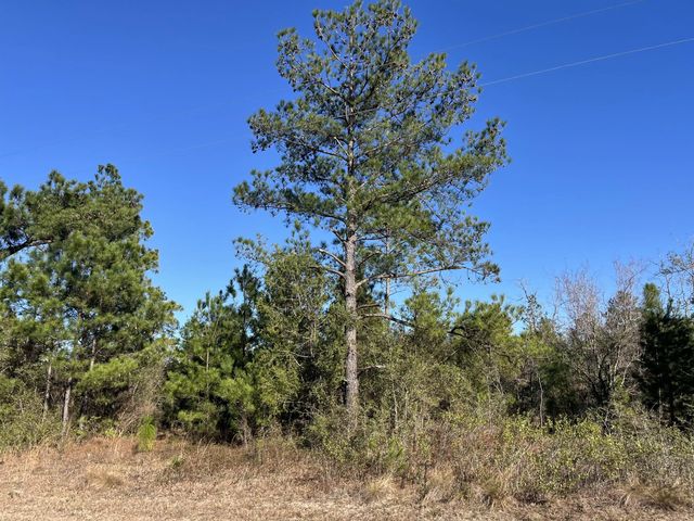 2 of 9 - Tbd Fairview Road, Marianna, FL