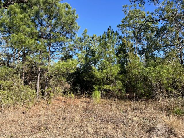 4 of 9 - Tbd Fairview Road, Marianna, FL
