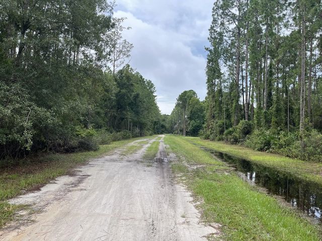 2 of 8 - 117 Mosswood Street, Georgetown, FL