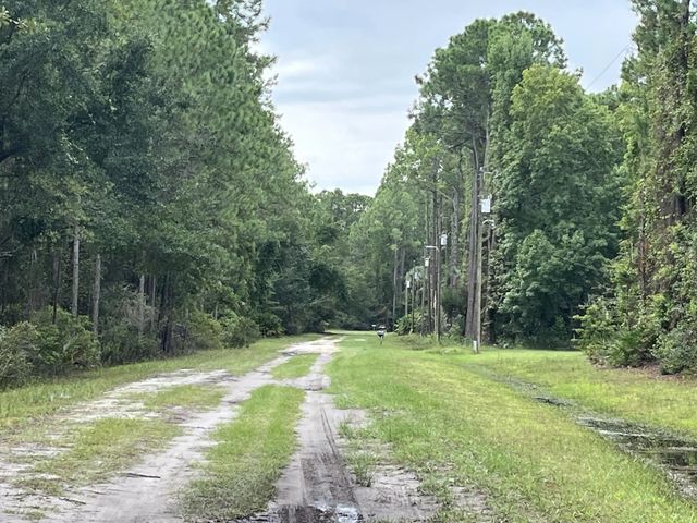 3 of 8 - 117 Mosswood Street, Georgetown, FL