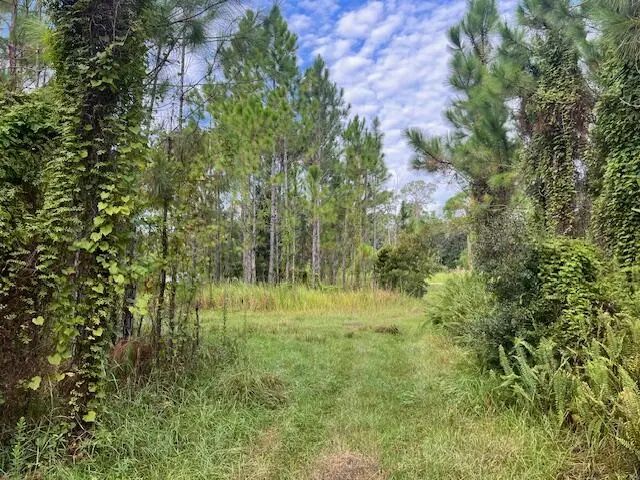 2 of 22 - 1137 Greenfield Street, Lake Placid, FL