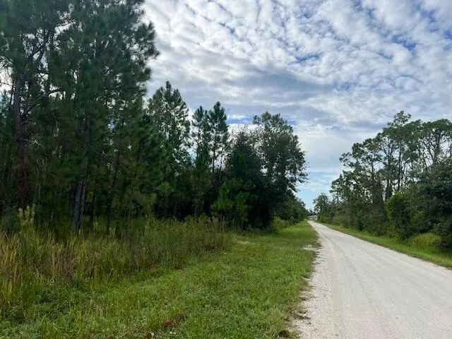 4 of 22 - 1137 Greenfield Street, Lake Placid, FL