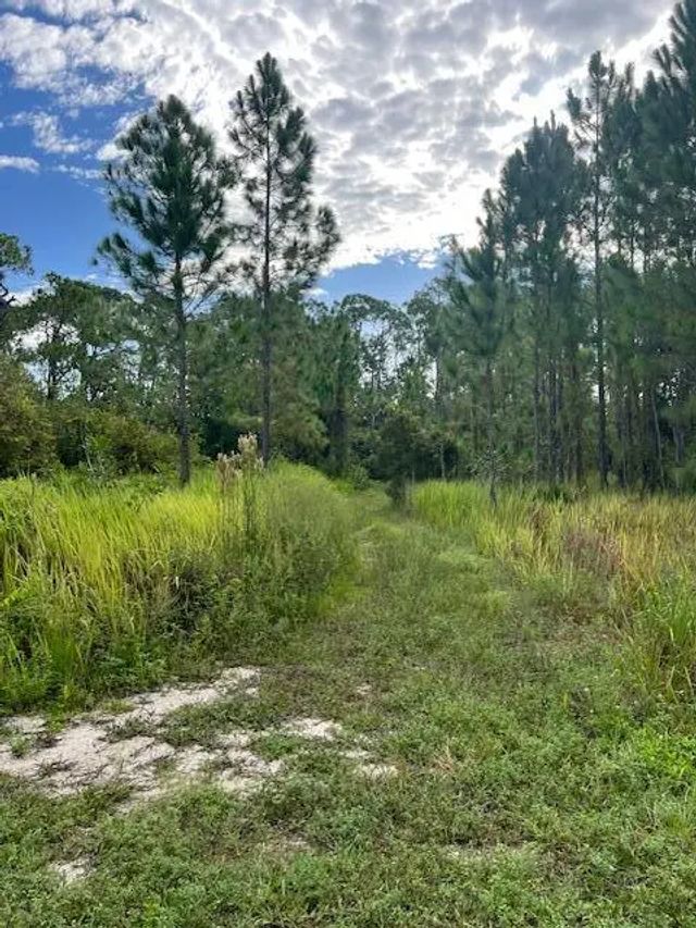 5 of 22 - 1137 Greenfield Street, Lake Placid, FL